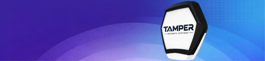 Security Systems & Alarms